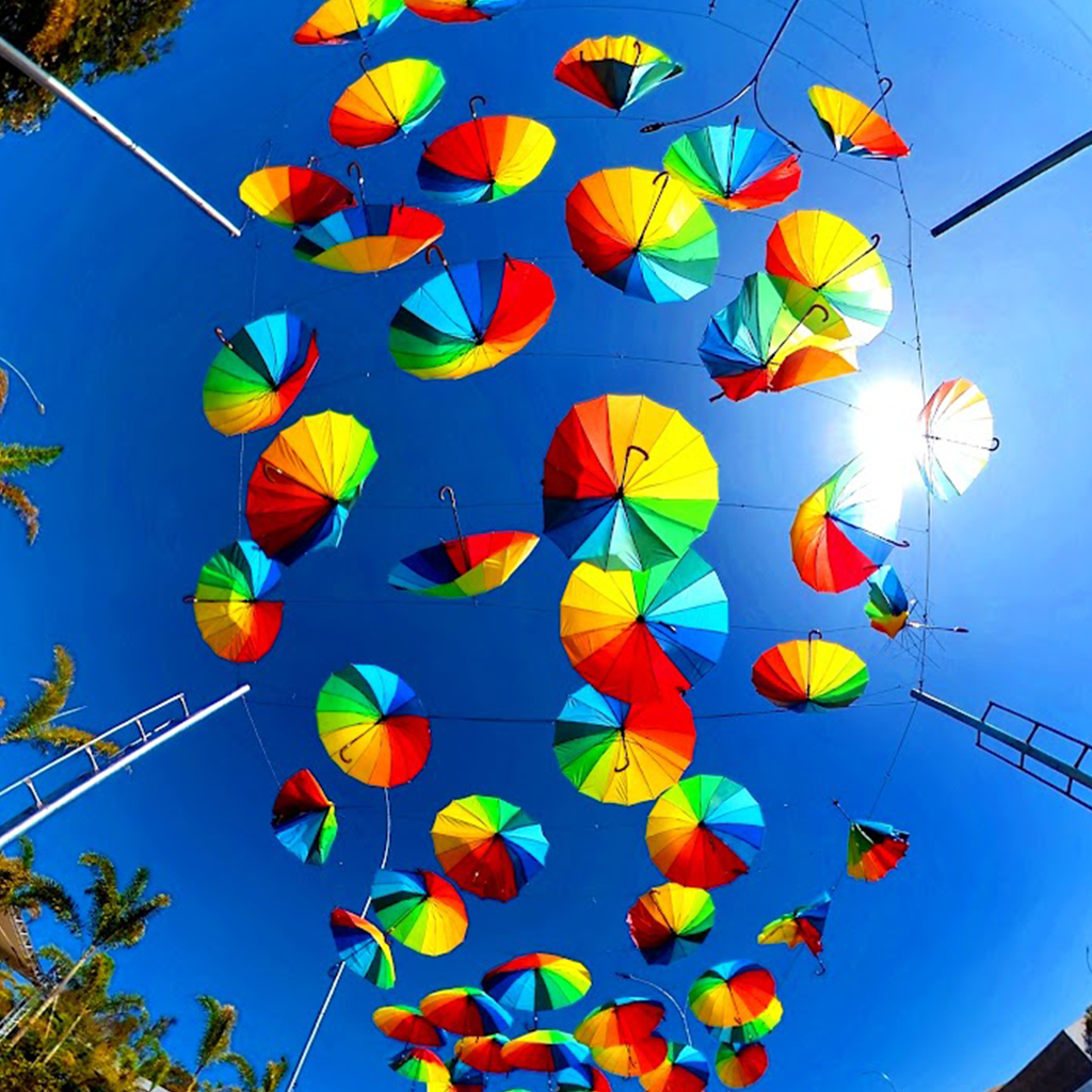Creative Ideas